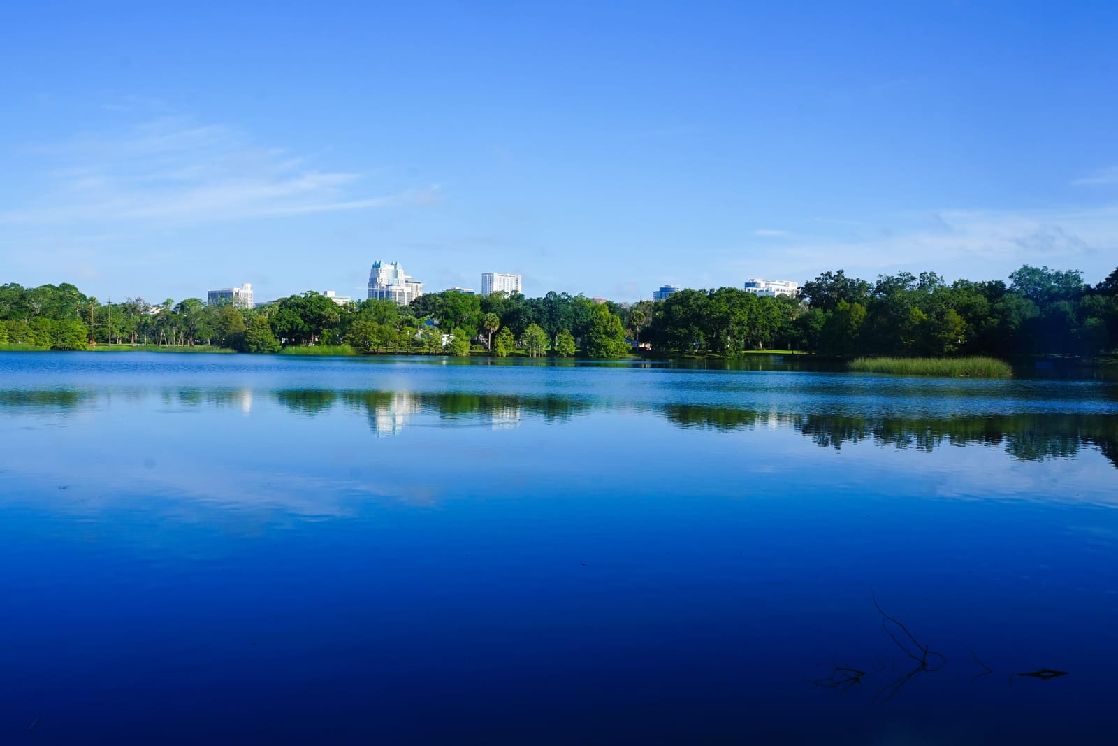 Dock and piling repair across Central Florida, Florida by Atlantic Pileworks